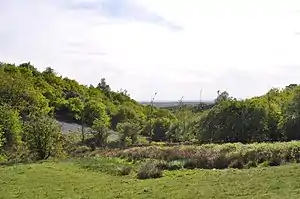 Birmingham City Transport No. 3796