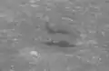 Apollo 8 image facing east at a high sun angle, which makes the two dark mare lava patches visible
