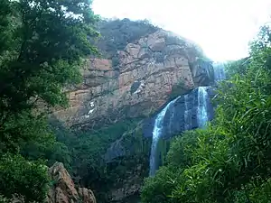 View of Verreaux's eagle (Aquila verreauxii) nest (at centre) at the Roodekrans, beside Witpoortjie Waterfall, Walter Sisulu National Botanical Garden