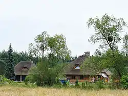 Modern thatched house