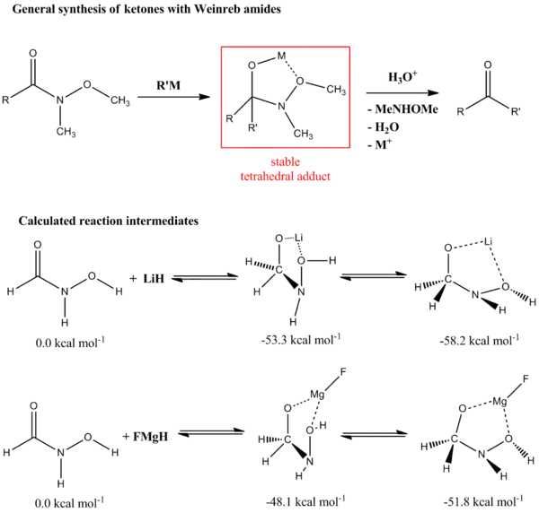 Weinreb ketone synthesis and tetrahedral intermediate stability