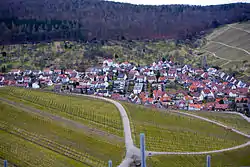 View of one district, with vineyards in the foreground