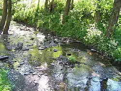 Westernah near Huxel