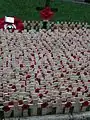 The Field of Remembrance outside Westminster Abbey