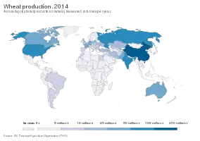Annual agricultural production of wheat, measured in tonnes in 2014.