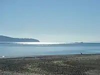 Photo of beach in Puget Sound