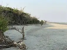 White sand beach in Bakkhali