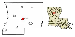 Location of Winnfield in Winn Parish, Louisiana.