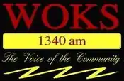 WOKS logo