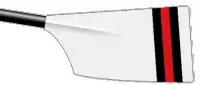 Image showing the rowing club's blade colours
