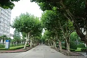 Xingzhi Road, Xuhui Campus