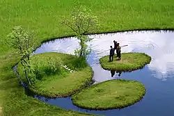 Floating islands on the Lake Aksakal in Solhan, Bingöl Province, Turkey.