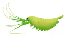 Life restoration of Yawunik