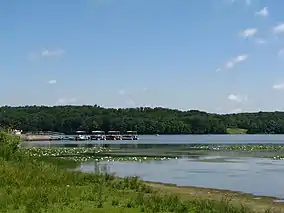 A tree-lined lake with lily pads and four pontoon boats at a dock in the distance