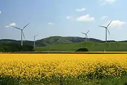 Windpower farm in Yokohama