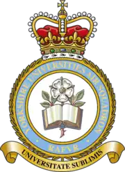 Squadron Badge