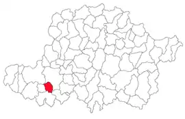 Location in Arad County