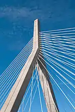 Detail of the cabling and tower on the bridge