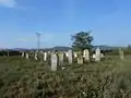 Jewish cemetery near the village