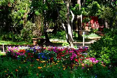 6. Zilker Botanical Gardens