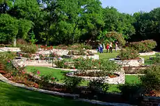 7.  Mabel Davis Rose Garden