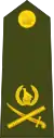 Lieutenant general(Zimbabwe National Army)