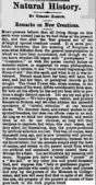 Krefft's introduction:"Remarks on New Creations",Sydney Mail, 5 July 1873.