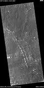 HiRISE image of channelized lava flow with levees on Northern flank of Ascraeus Mons.