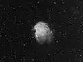 Monkey Head Nebula in hydrogen alpha focal length 384mm