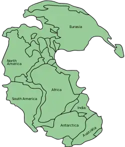 An irregular green shape against a blue background represents Pangaea.