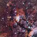 The Prawn Nebula in close-up.
