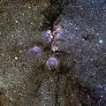 ESO's VISTA infrared view of NGC 6334