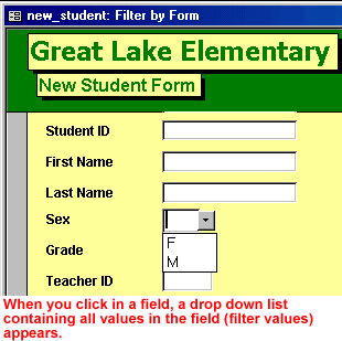 Picture of Great Lake Elementary form - When you click in a field, a drop-down list containing 
      all the criteria in the field