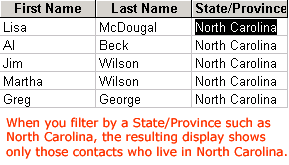 Resulting Display of Filtered Records