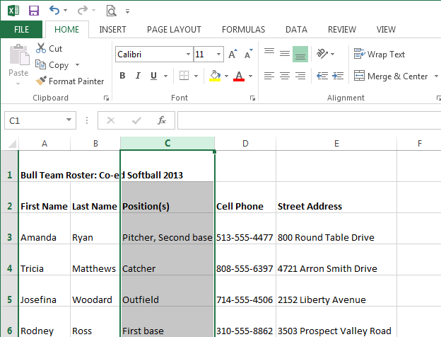 Screenshot of Excel 

2013