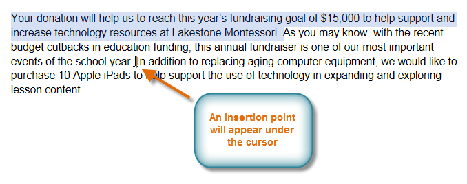 Screenshot of Google Documents