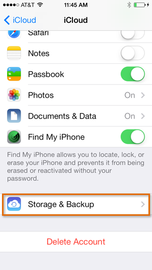 Screenshot of the iPhone