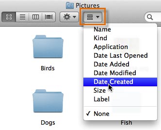 Arranging by Date Created