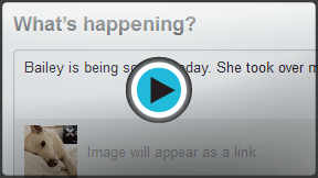 Launch "How to Tweet" video!