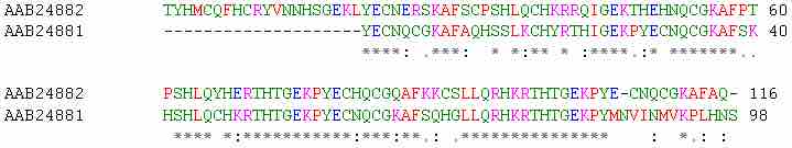 Example of Homologous DNA