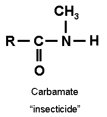 Carbamate