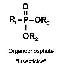 Organophosphonate insecticide