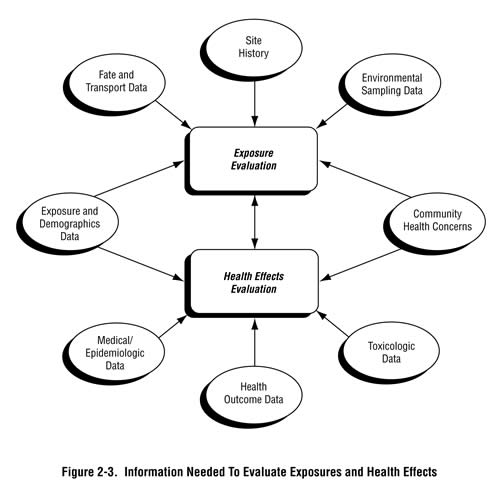 Figure 2-3. Information Needed to Evaluate Exposures and Health Effects Figure 2-3. Information Needed to Evaluate Exposures and Health Effects