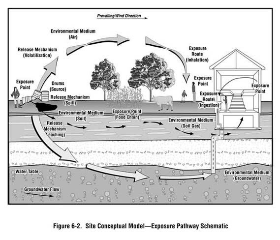 Figure 6-2. Site Conceptual Model - Exposure Pathway Schematic Figure 6-2. Site Conceptual Model - Exposure Pathway Schematic