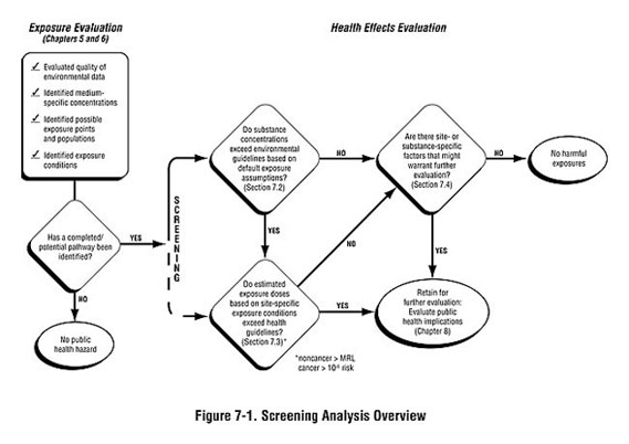 Figure 7-1. Screening Analysis Overview Figure 7-1. Screening Analysis Overview