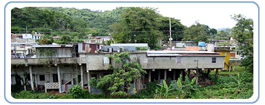 Papelera Puertorriqueña, Inc. (PPI) Site