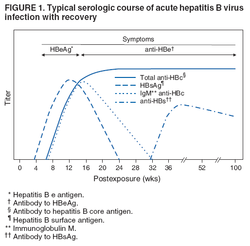 FIGURE 1. Typical serologic course of acute hepatitis B virus
infection with recovery