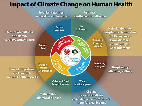 Climate change helath effects wheel graphic