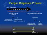 Dengue Diagnostic Process