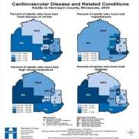 Cardiovascular disease and related conditions, adults in Hennepin County, Minnesota, 2010